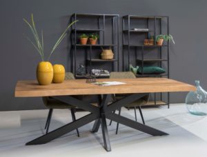 Stury spider boomstam blad - Diverse afmetingen